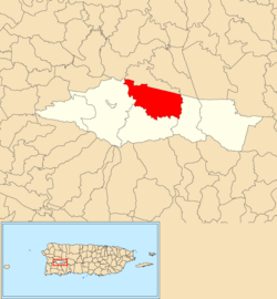 Bucarabones'in Maricao belediyesi içinde kırmızıyla gösterilen konumu
