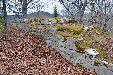 Burgruine Wehingen, Harras (Wehingen)