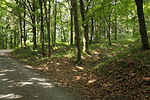 Burg Wallenrode