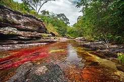 CAÑO CRISTALES, EL RÍO DE COLORES.jpg