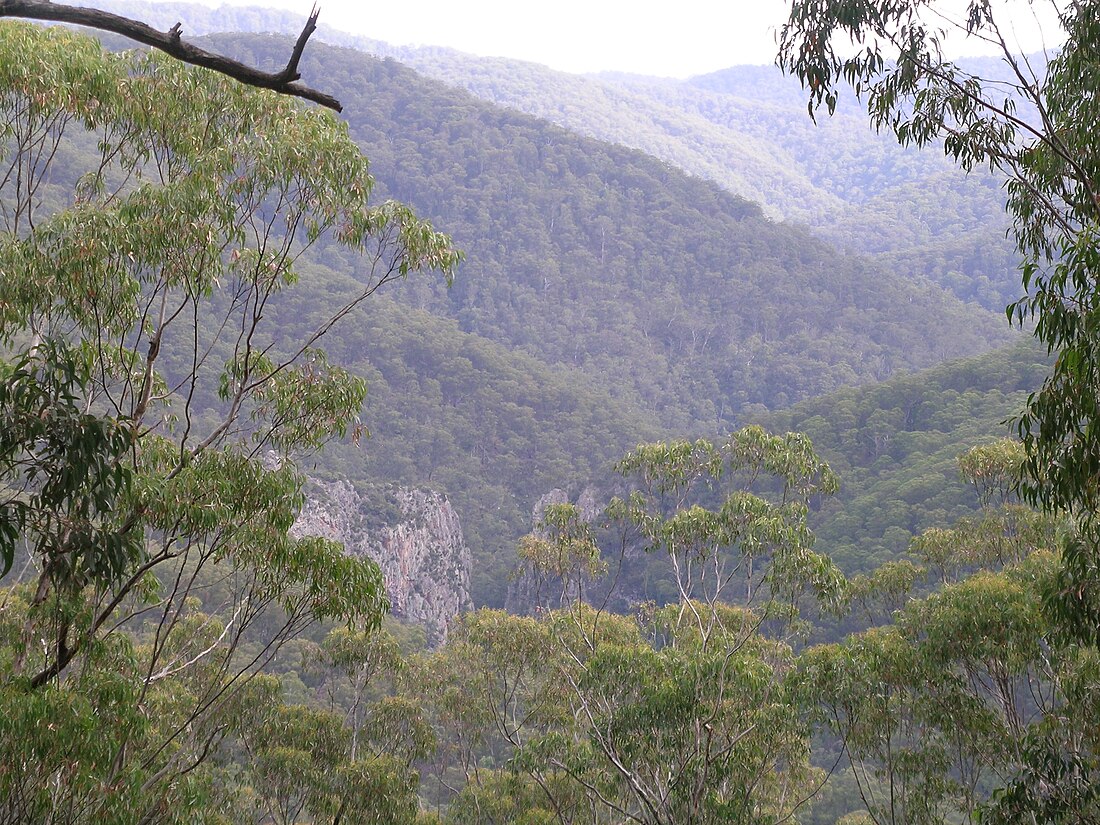 Parque nacional Nowendoc