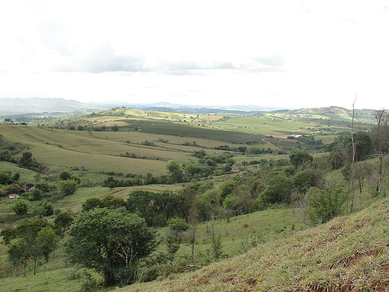 File:Campo do Meio - State of Minas Gerais, Brazil - panoramio (8).jpg