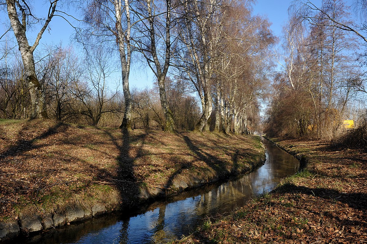 Canal d live. Ерусланский канал,d rfrjv ujlegjcnhjtynajnj.