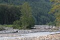 Mount Rainier National Park