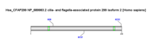 Sumoylation site and Sumoylation interaction motifs of CFAP299 protein Cfap299 sumo.png