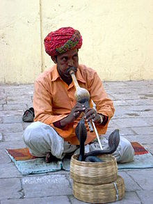 Snake charmer in Jaipur (India) in 2007 Charmeur de serpents a Jaipur (2).JPG