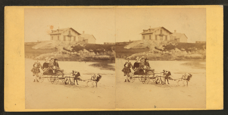 File:Children in goat cart on beach, from Robert N. Dennis collection of stereoscopic views 6.png