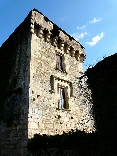 File:Condat-sur-Vézère donjon (4).JPG