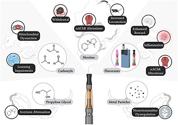 Labeled and unlabeled constituents in e-cigarettes and identified effects on neurobiology and behavior. E-liquids and/or aerosols have been shown to contain nicotine, propylene glycol, carbonyls, flavorants, and metal particulates, all of which can induce effects on biological processes and/or behavior.