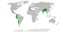 Distribuição de Coriaria.svg