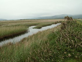 Cors Fochno Aberleri Alam Reserve.jpg