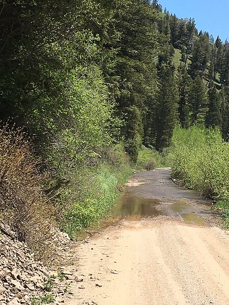 File:Cottonwood Road - Bridger-Teton NF - 3.jpg