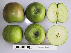Cross section of Granny Smith (LA 73A), National Fruit Collection (acc. 1976-145).jpg