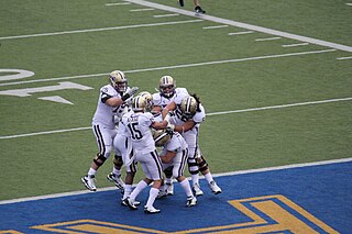 <span class="mw-page-title-main">Touchdown celebration</span>