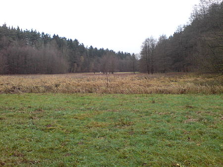 Das Lambsbachtal bei der Merburg