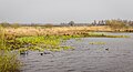 De Alde Feanen. Waterrijke natuurgebied. Uitzicht vanuit de vogelkijkhut.