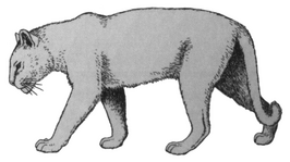 Panthera gombaszoegensis