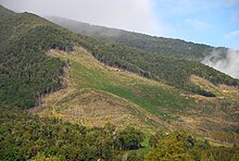 Deforestation_NZ_TasmanWestCoast_2_MWegmann.jpg