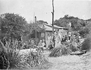 'Happy Valley' at Brighton-le-Sands, Sydney, in 1934. Depression at 'Happy Valley', Brighton-le-Sands, Sydney, 1930's - Sam Hood (3461428558).jpg