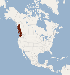 Répartition de Myotis Keenii.png