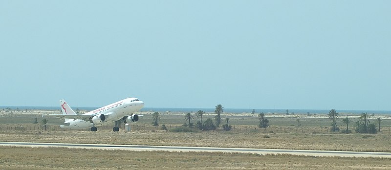 File:Djerba Tunisair Airbus A319 TS-IMK 03.JPG