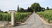 Thumbnail for Château Saint Georges (Côte Pavie)