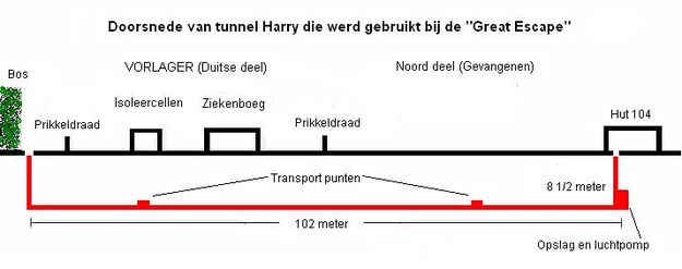 Doorsnede van Harry