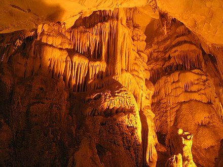 Dupnisa Cave has thousands of bats