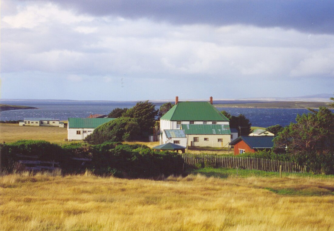 Tussock grass