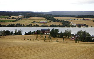 <span class="mw-page-title-main">Eina (municipality)</span> Former municipality in Oppland, Norway