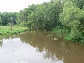 Eketė nuo Mazūriškių-Radailių kelio tilto