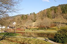 Blick auf den See von Elkeringhausen