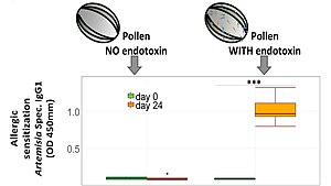 Alergia: Problemas terminológicos, Clasificación, Historia