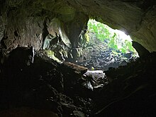 Entrance into Deer Cave. Entrance to Deer Cave.jpg