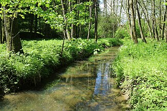 Erlenbach in the breakthrough between Madersberg and Kirchberg