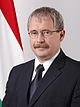 Фазекас Шандор Portrait.jpg