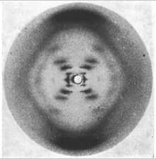 Photograph of DNA (photo 51), Rosalind Franklin, 1952 Fig-1-X-ray-chrystallography-of-DNA.gif