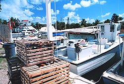 Crab boats in Tavernier