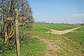 Junction of footpaths and bridleways, including the Stour Valley Path to Kedington.