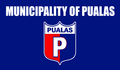 Flag of Pualas, Lanao del Sur.png