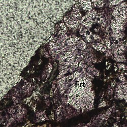 Dünnschliff mit Fluorit (Frt) gegen das Einbettungsmedium (links oben). Fluorit hat eine Lichtbrechung von 1.44, diese ist damit niedriger als die des Einbettungsmediums (1.54). Daher zeigt Fluorit ein leichtes negatives Relief. Bildbreite 530 Mikrometer.