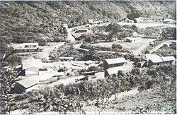 Fotografija Carmen Pampa, oko 1971. (A. Pardo Asllani)