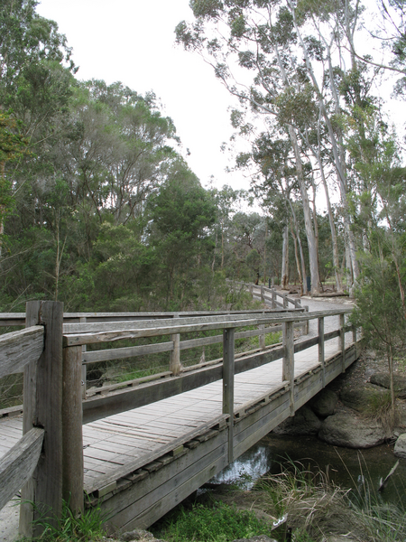 File:Friends Bridge Blackburn Lake.PNG