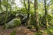 Günterfelsen bei Furtwangen im Schwarzwald