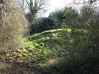 Gally Hills Gally Hills Saxon tumulus Banstead Surrey UK.JPG