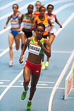 Vignette pour 3 000 mètres féminin aux championnats du monde d'athlétisme en salle 2014