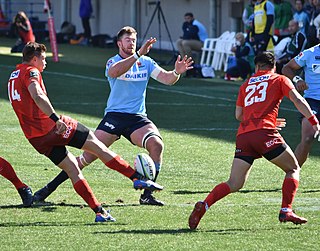 <span class="mw-page-title-main">Gerhard van den Heever</span> Rugby player