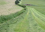 Миниатюра для Файл:Grass crop drying in the sun - geograph.org.uk - 1916753.jpg