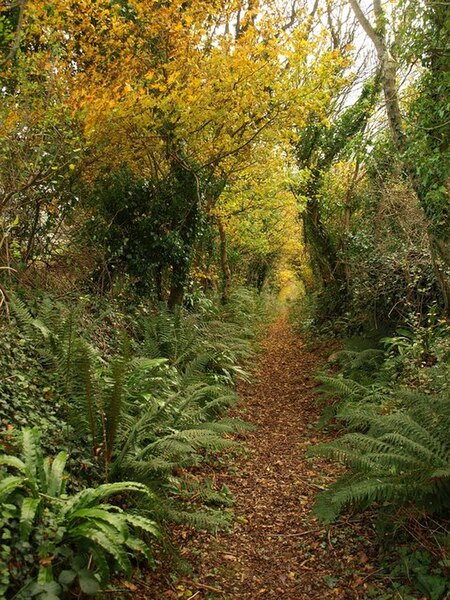 File:Green Lane below Windmill Hill - geograph.org.uk - 1050410.jpg