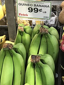 Guineo bananas for sale at a supermarket Guineo banana 99C/ lb B.jpg